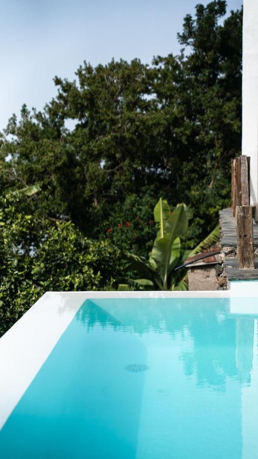 Califurnia - Refurb Antique Villa Icod De Los Vinos Eksteriør bilde